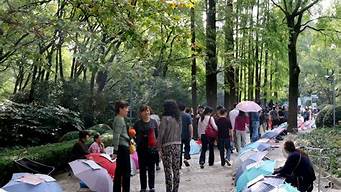 上海公园相亲角_上海公园相亲角时间和地址