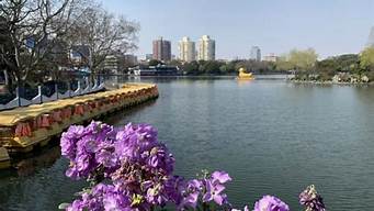 上海长风公园周围的酒店_上海长风公园周围的酒店有哪些